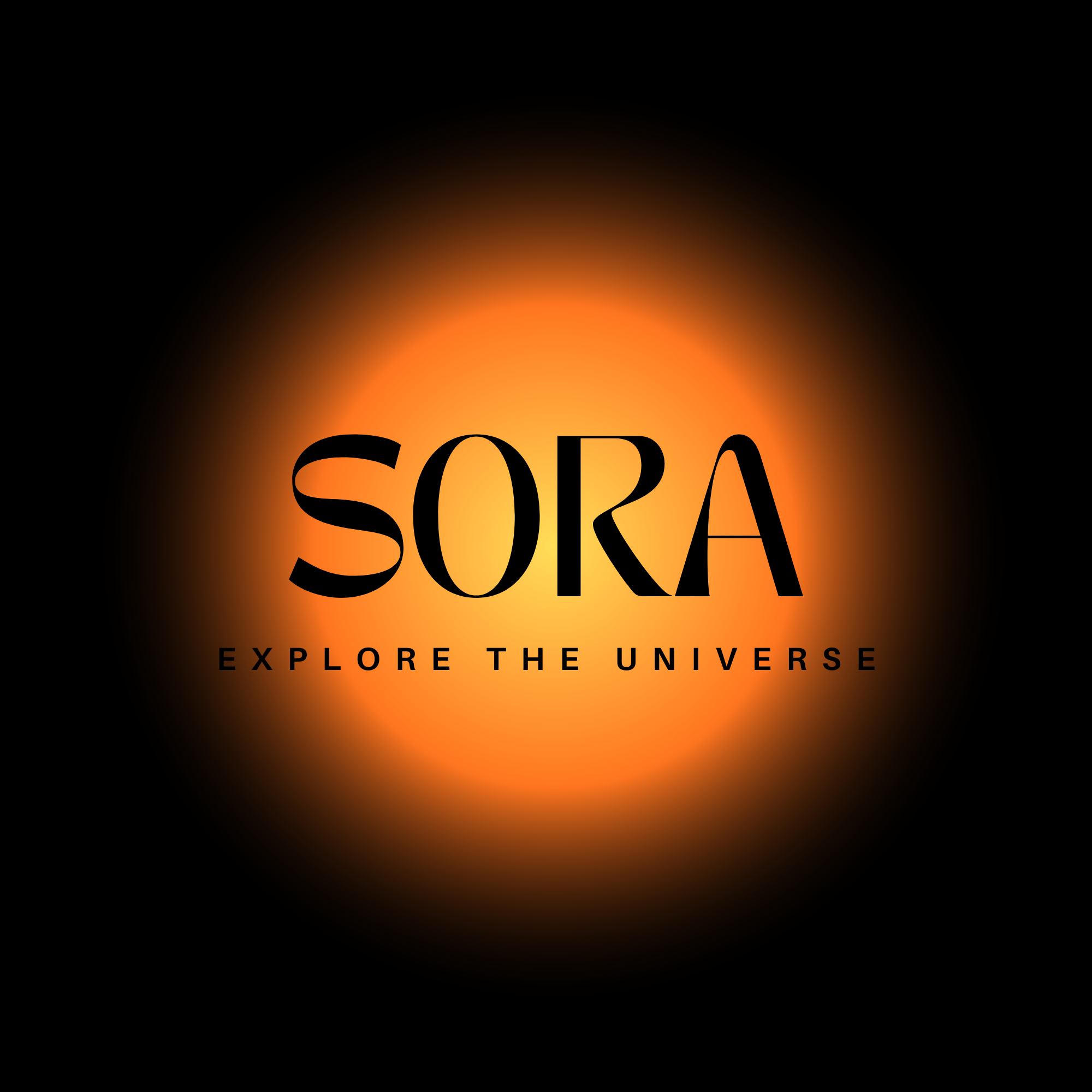 Sora Space